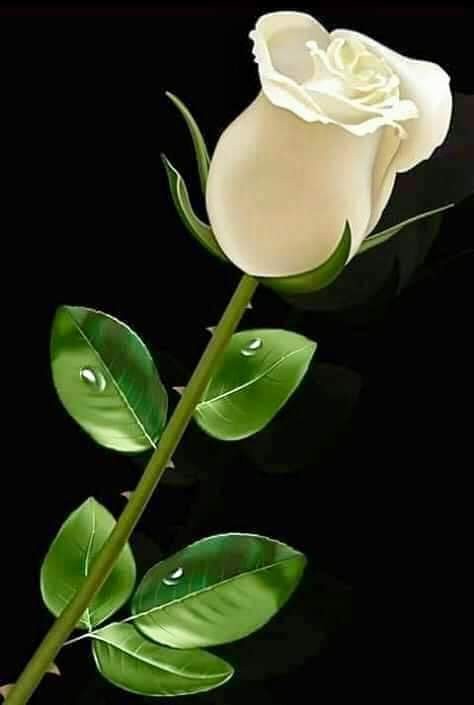 Photo shared by Erma Jean Caston-Goss